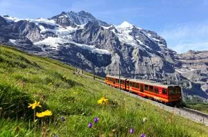 Train panoramique descendant du Jungfraujoch à Kleine Scheidegg